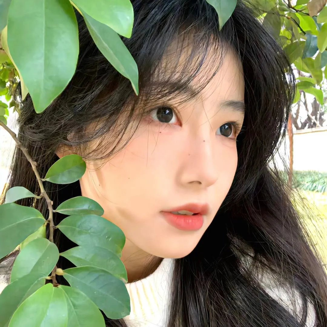 危险的她封面