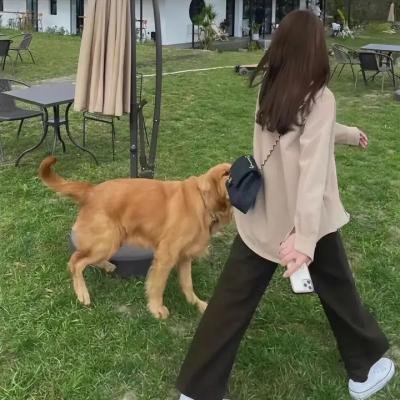 电子陷阱封面